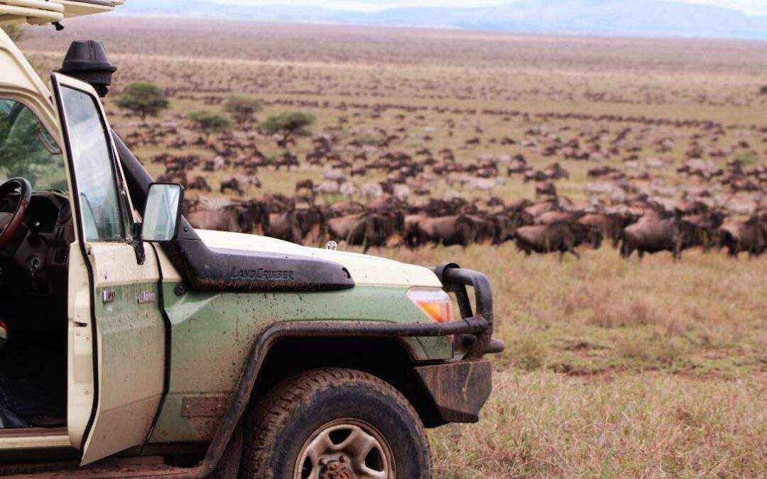 The-great-wildebeest-Migration