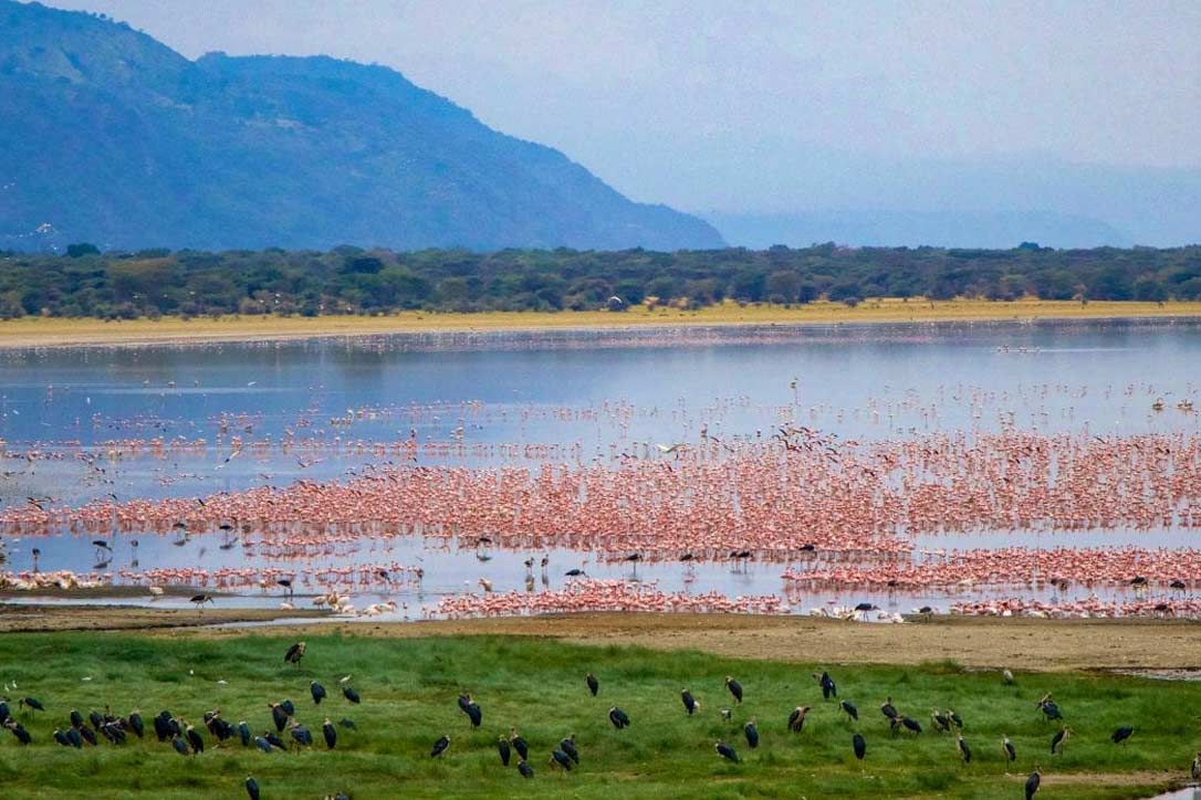 Lake Manyara National Park