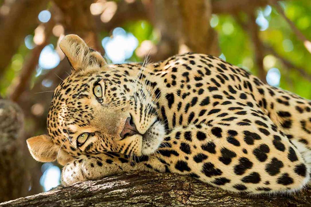 Serengeti National Park