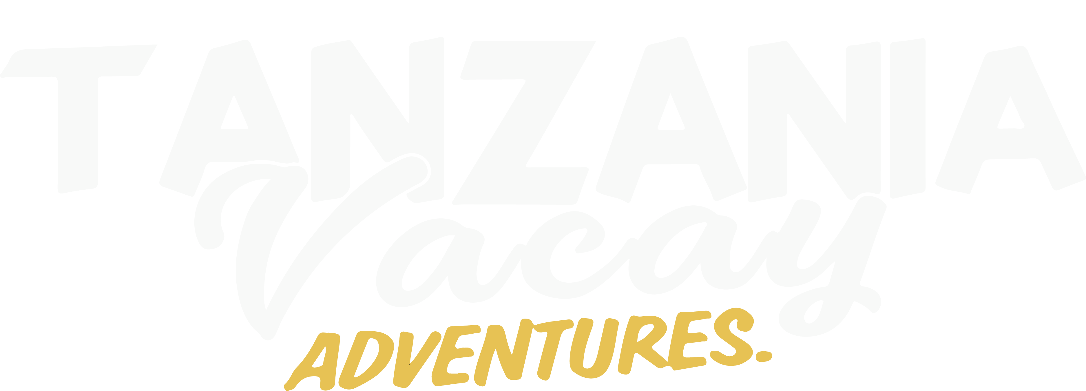 Tanzania Vacay Adventures PNG LOGO